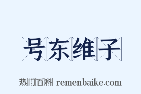 号东维子是什么意思的图片